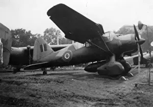 Lysander Prints: Westland Lysander III