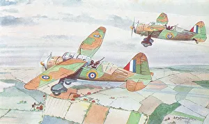 Lysander Prints: Westland Lysander Mk. I
