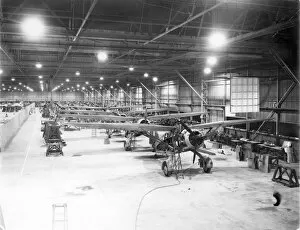 Production Collection: Westland Lysander production