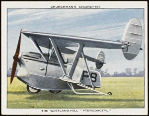 Produces Collection: Westland Pterodactyl