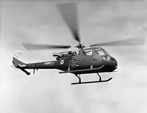 Westland Scout
