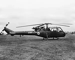 Westland Scout