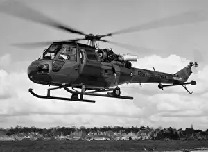 Westland Scout