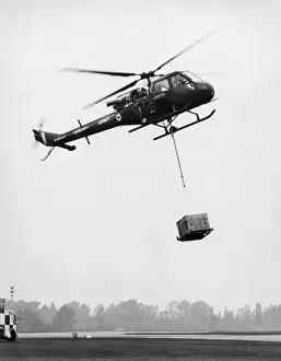 Westland Scout