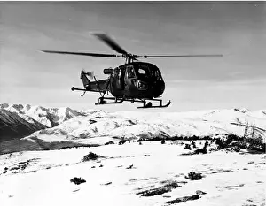 Westland Scout AH1 of 653 Squadron Army Air Corps