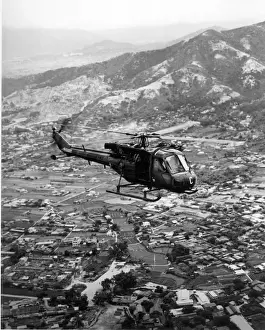 Westland Scout AH1