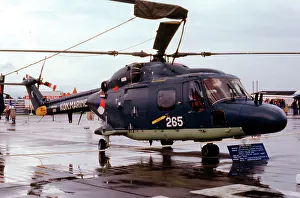 Koninklijke Prints: Westland UH-14A Lynx Mk. 81 273