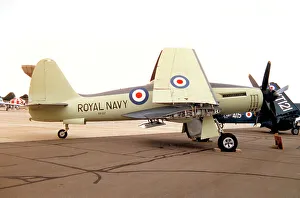 Westland W. 34 Wyvern TF. 1 VR137