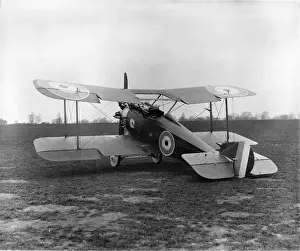 Westland Wagtail