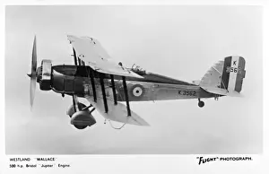 Horsepower Prints: Westland Wallace British biplane