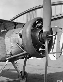 Jupiter Prints: Westland Wapiti I
