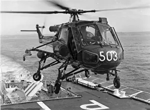 Westland Wasp HAS1 XT421