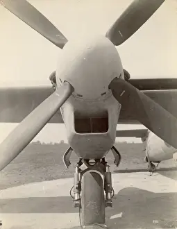 Westland Welkin, DX340
