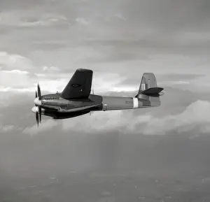 Westland Welkin F Mk. I DX282
