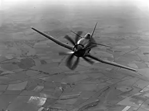 Westland Wyvern