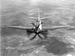 Wyvern Prints: Westland Wyvern