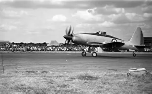 Wyvern Prints: Westland Wyvern prototype