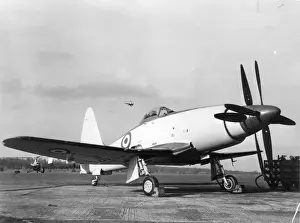 Westland Wyvern S4 VZ751