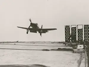Wyvern Prints: Westland Wyvern TF1 during carrier trials