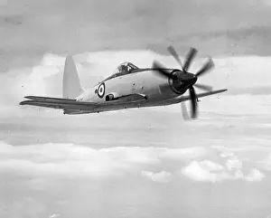 Wyvern Prints: Westland Wyvern TF2 in flight