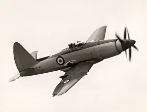 Wyvern Prints: Westland Wyvern TF2, VP109
