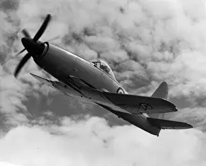Westland Prints: Westland Wyvern TF2 VW867