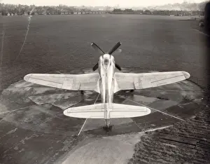Wyvern Prints: Westland Wyvern TFMk1, TS371, the first prototype