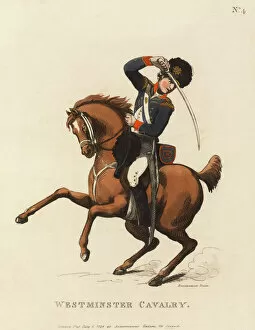 Aquatint Gallery: Westminster Cavalry