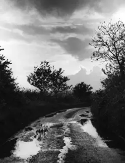 Wet Country Lane