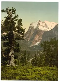 Oberland Prints: Wetterhorn, general view, Bernese Oberland, Switzerland