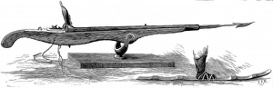 Images Dated 16th August 2004: Whale Gun and Snow-shoe, 1875