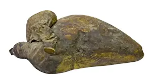 Whale heart
