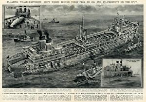 Process Gallery: Whale hunting vessel and factory by G. H. Davis