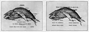 Security Prints: Whale meat menu and recipe card: 1918