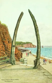 Whale Prints: Whalebones at Teignmouth, Devon