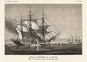 Whalers hunting and butchering whales at sea