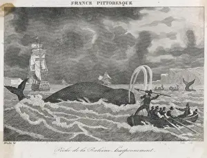 Whaling in Canada
