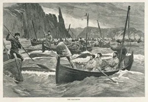 Faroe Gallery: Whaling / Faroe Islands