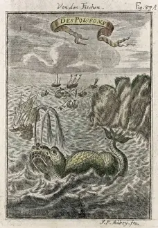 Whaling / Newfoundland