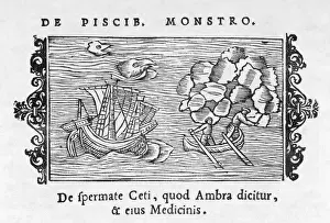 Surfacing Prints: Whaling Scene 1555