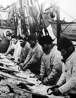 Whaling ship, scraping the whalebone