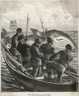 Whaling from Small Boat