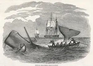 Whaling / South Seas 1847