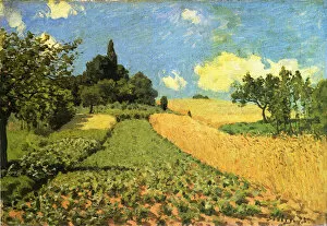 Images Dated 26th August 2020: Wheatfield: the Hillside near Argenteuil Date: 1873