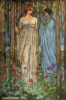 Poppy Prints: Whereto the other with downward brow... Illustration by Florence Harrison to Tennyson s