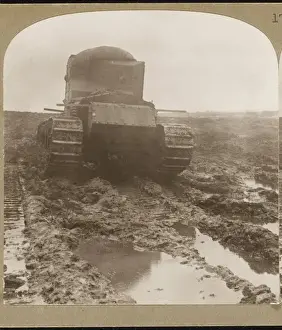 Whippet Tanks Ww1