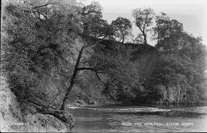 The Whirlpool, Bolton Abbey