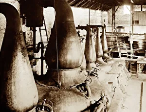 A Whisky Distillery, early 1900s