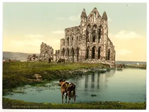 Whitby, the abbey, II. Yorkshire, England