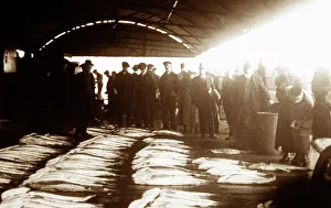 Whitby Fish Market
